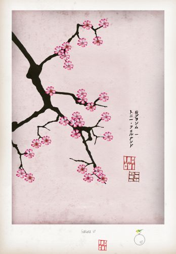 Cherry Blossom Print - Sakura VI by Tony Fernandes